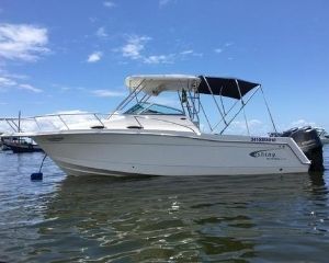 fishing 28 WA