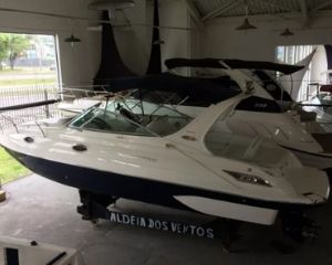 Triton 295