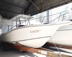FISHING 265 CC