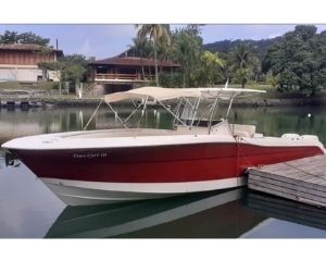 Fishing 32cc