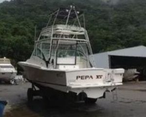 fishing 380 open